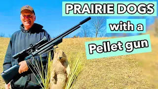 Prairie Dog Hunting with a pellet gun/Scope Cam