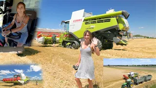 Farmer girl harvests the malting barley with the Claas Lexion 750 with 7,70 m cutting width