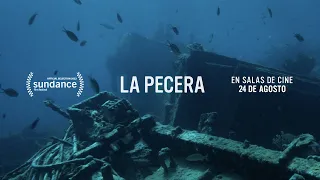 La Pecera: Trailer Oficial