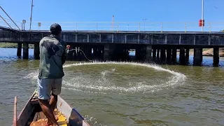 A ESTRUTURA PERFEITA PRO PEIXE FICAR! pescaria com tarrafa .