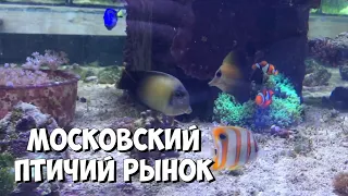 Московский птичий рынок | Цены