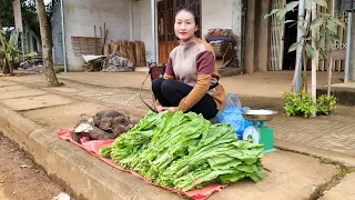 Harvest Grinding Tuber, Green Vegetables to the Market for Sale, my daily life | Ly Thi Tam