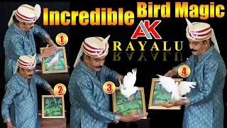 Famous Magician Talent |Dove Magic Trick| #magician #magician #magicinhands #indian #magic