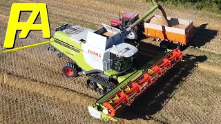 Claas Lexion 750 wheat harvest Weizenernte 2020 Weizen dreschen Getreideernte Drohne DJI Mavic Mini