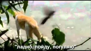 This Is Horosho_Они оторвали утку! -