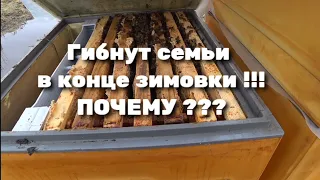 ГИБНУТ СЕМЬИ В КОНЦЕ ЗИМОВКИ !!! ПОЧЕМУ ???