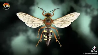 Этим летом появление цикад в Иллинойсе спровоцирует возвращение в штат ос-убийц