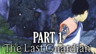 The Last Guardian Walkthrough Part 1 - INTRO (Full Game) The Last Guardian PS4 Pro Gameplay
