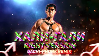 хали-гали - леприконсы (gachi remix) right version, гачи ремикс