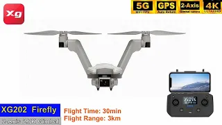 XG202 (L100) V-shape Dual-rotor 2-Axis Gimbal Brushless Drone – Just Revised !