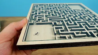 Will the Ant find a way out of the real Maze Labyrinth? Ant VS Labyrinth  (English subtitles)