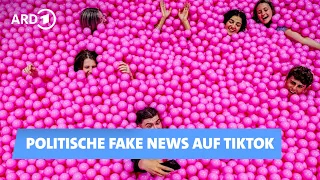 TikTok-Videos: Politische Falschinformationen gehen viral | Kontraste