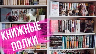 КНИЖНЫЕ ПОЛКИ #1 | ВЕРСИЯ 2.0