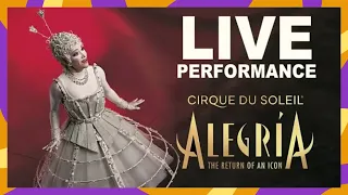 Alegría | Very Special PERFORMANCE! We're Celebrating the Return of An ICONIC Cirque du Soleil Show.