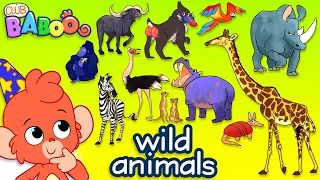 Learn Wild Animals For Kids | Wild Zoo Animals Names and Sounds for Children | Club Baboo