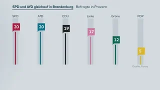 BRANDENBURG: SPD und AfD gleichauf - Grüne im Aufwind