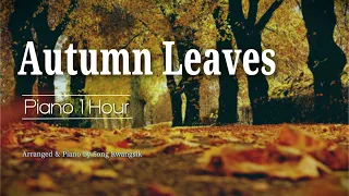 [Piano 1 HOUR]  Autumn Leaves / 고엽 / 피아노로 그려보는 가을 노래  / Autumn songs on the piano