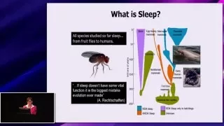 The relationship of sleep to recovery and performance in elite athletes Mary Morrell