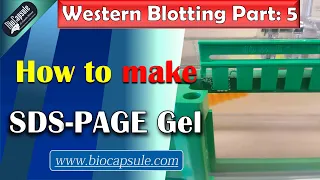 How to make SDS-PAGE Gel? Western Blotting A to Z video library : Part 5