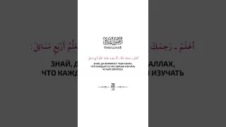 Книга «ТРИ ОСНОВЫ» имама-муджаддида Мухаммада ибн 'Абд аль-Ваххаба, да помилует его Аллах