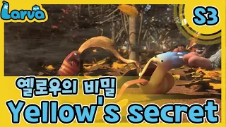 LARVA S03 | 라바 시즌 3 | Episode | 048_옐로우의 비밀(Yellow's secret) | 케이블_BOX