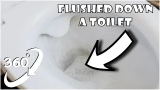 360 Video | Flushed Down A Toilet Version 7 | VR 4K