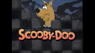 Cartoon Network (Checkerboard) Bumpers for Scooby-Doo (1996)