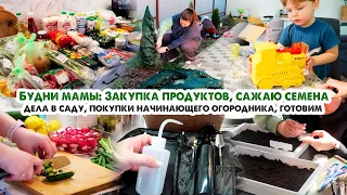 По Вашим советам🧐Закупка продуктов на неделю🥩 Покупки огородника-новичка🍅Сажаю семена👩‍🌾Дела в саду