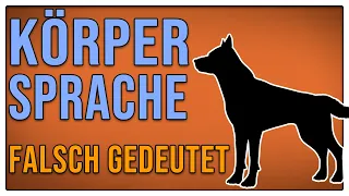 5 häufige Fehler in der Deutung der Körpersprache des Hundes - TGH 336