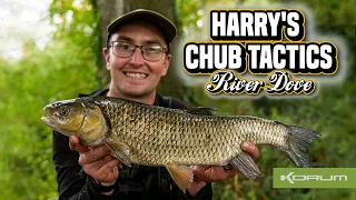 Harry's Chub Tactics - River Dove #chub #chubfishing #korum #fishing