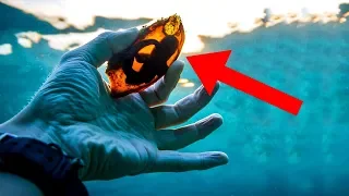 Most AMAZING Recent Discoveries About Sharks!