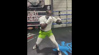 TERENCE CRAWFORD IN BEAST MODE TRAINING FOR ERROL SPENCE JR.