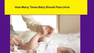 How Many Times Baby Should Pass Urine / How To Track Baby Urine