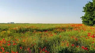 Поездка по маршруту Березнеговатое - Апостолово. ver. 2020. Часть 1.