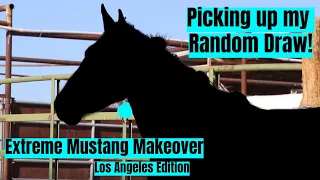 Picking Up my Extreme Mustang Makeover Draw! | Los Angeles