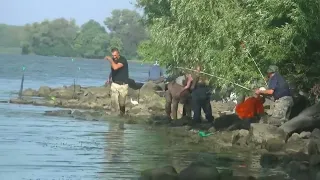 ЖУТКАЯ ДРАКА на рыбалке...
