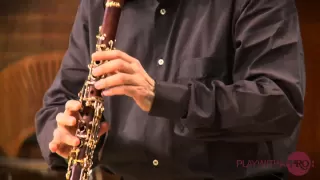 Clarinet lessons with Charles Neidich, 2nd clarinet sonata Brahms