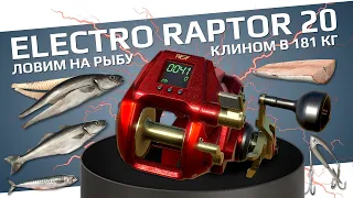 РУССКАЯ РЫБАЛКА 4 - Electro Raptor 20 в клине при ловле на рыбу / Норвежское море / Стрим