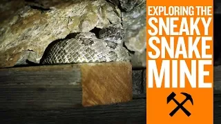 Exploring the Sneaky Snake Abandoned Mine, Nevada