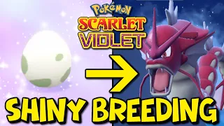 How To Shiny Hunt Using The Masuda Method in Pokemon Scarlet & Violet! Easy Shiny Breeding Guide!