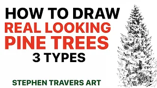 How to Draw a Realistic Pine Tree