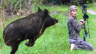 New Bow Set Up | Wild Boar Fail