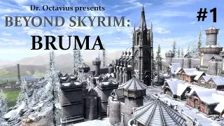Beyond Skyrim: Bruma - Chapter 1 - Welcome to Cyrodiil (Let's Play)