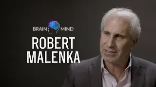 Psychedelics as Therapeutics - Robert Malenka at BrainMind