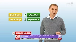 Узгодження числівників з іменниками – експрес-урок