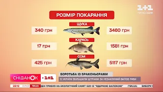 Дорога рибка: в Україні підвищили штрафи за незаконний вилов риби