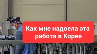 Трудовые будни на работе в Корее #кореяработаарбайт