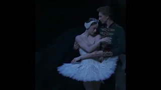 Swan Lake   Marianela Nuñez and Vadim Muntagirov pas de deux