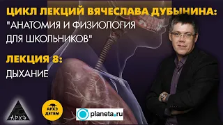 Вячеслав Дубынин: Дыхание" (Лекция 8)