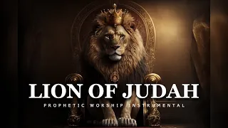 Lion Of Judah | Prophetic Worship Music Instrumental | Jacob Agendia